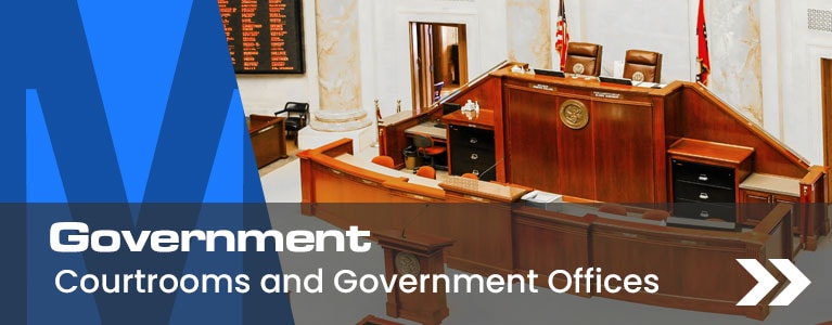Government